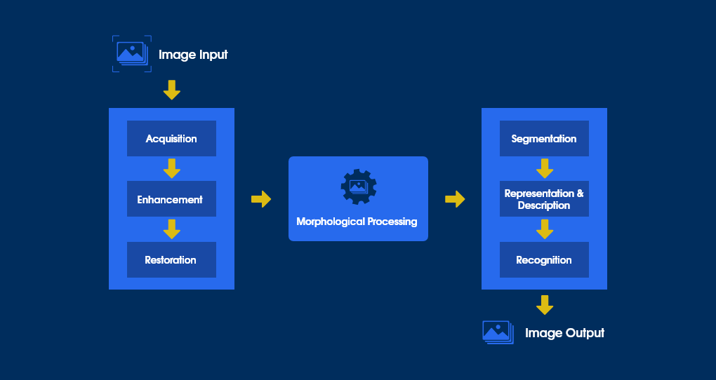 Phases of Image Processing